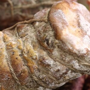 coppa-corse-fermiere Coppa corse fermier