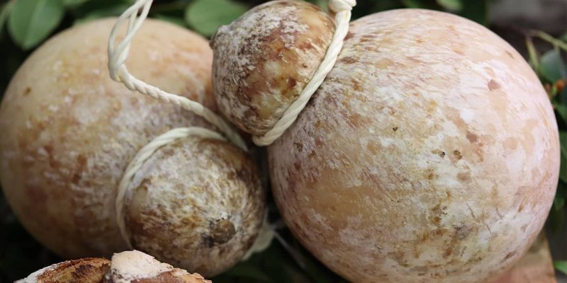 cacciocavallo affine fromage italien