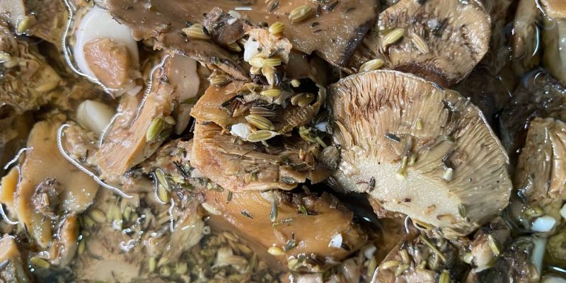 Sanguins à l'huile traiteur Lecci