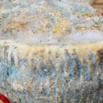 fromage-de-brebis-corse-affiné